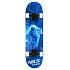 CR3108SA LION SKATEBOARD NILS EXTREME