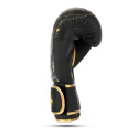 Boxerské rukavice DBX BUSHIDO Gold Dragon