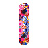 CR3108SA HOOP SKATEBOARD NILS EXTREME