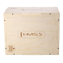 DSC04 PLYO BOX HMS