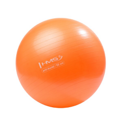 Gymnastický míč HMS YB02 55 cm oranžový