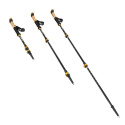 TK8605 TREKINGOVÉ PALICE NILS