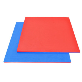 Tatami DBX BUSHIDO 100 x 100 x 2 cm červeno-modrá