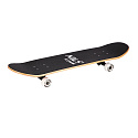 CR3108SA TRIANGEL SKATEBOARD NILS EXTREME