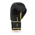Boxerské rukavice DBX BUSHIDO Gold Dragon