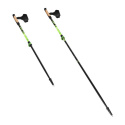 NW8611 NORDIC WALKING PALICE NILS