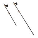 NW8613 NORDIC WALKING PALICE NILS