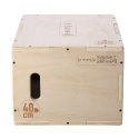 DSC04 PLYO BOX HMS