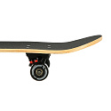 CR3108SA SKULLS SKATEBOARD NILS EXTREME