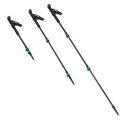 TK8607 TREKINGOVÉ PALICE NILS