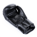 ARB-407V5 6 OZ. JUNIORSKÉ BOXERSKÉ RUKAVICE DBX BUSHIDO