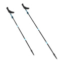 TK8604 TREKINGOVÉ PALICE NILS