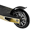 HS155 LION ZLATÁ FREESTYLE KOLOBEŽKA NILS EXTREME