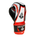 Boxerské rukavice DBX BUSHIDO ARB407v2 6 oz