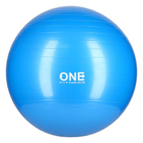 Gymnastická lopta HMS Gym Ball 10 modrá, 55 cm