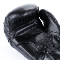 ARB-407V5 6 OZ. JUNIORSKÉ BOXERSKÉ RUKAVICE DBX BUSHIDO