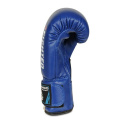 Boxerské rukavice DBX BUSHIDO ARB-407v4