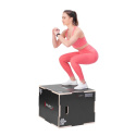 DSC02 PLYO BOX HMS