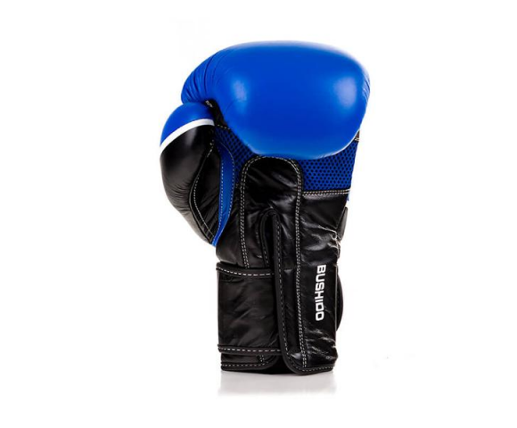 Boxerské rukavice DBX BUSHIDO DBD-B-2 v2